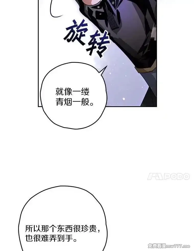 西格莉德,98.魔法师的地位,第34张