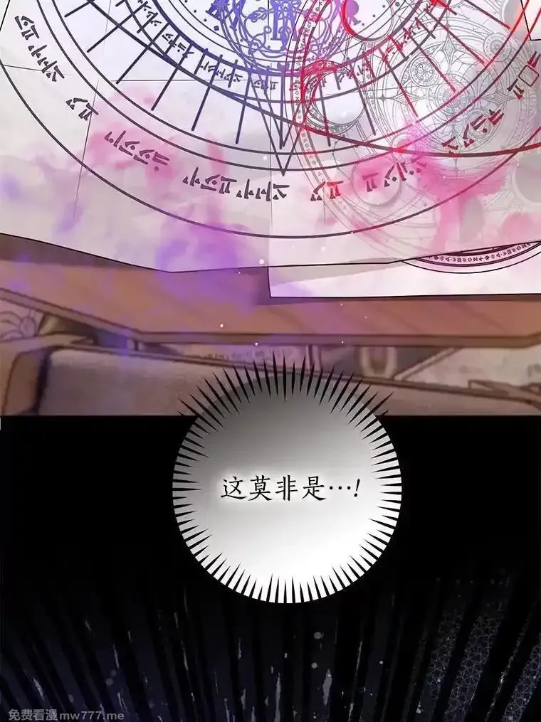 西格莉德,98.魔法师的地位,第42张