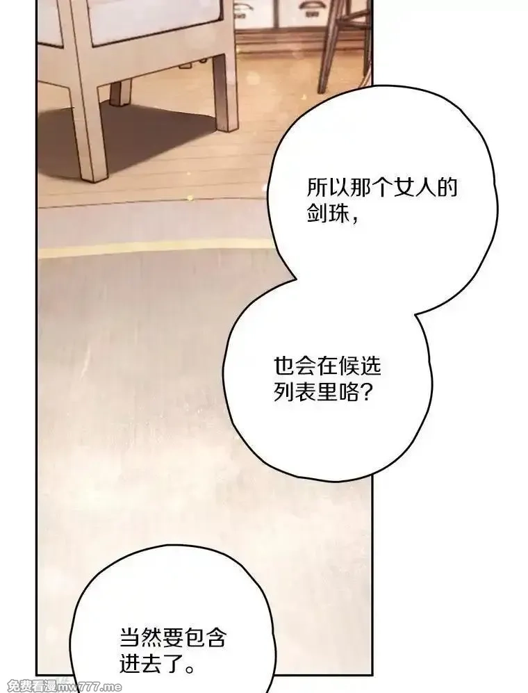 西格莉德,98.魔法师的地位,第62张