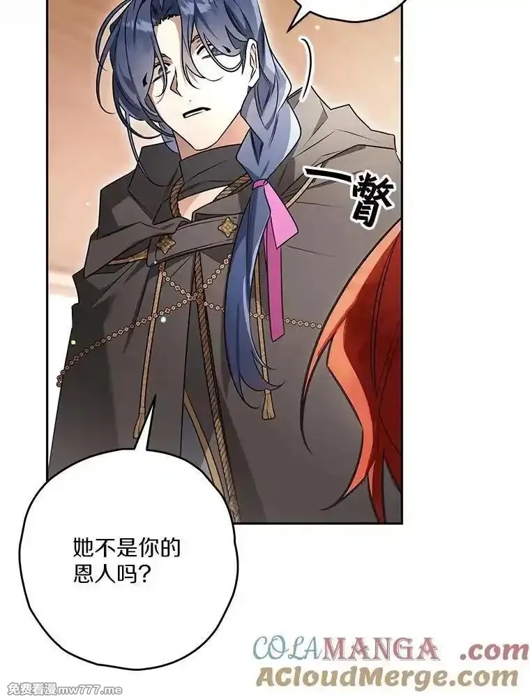 西格莉德,98.魔法师的地位,第65张