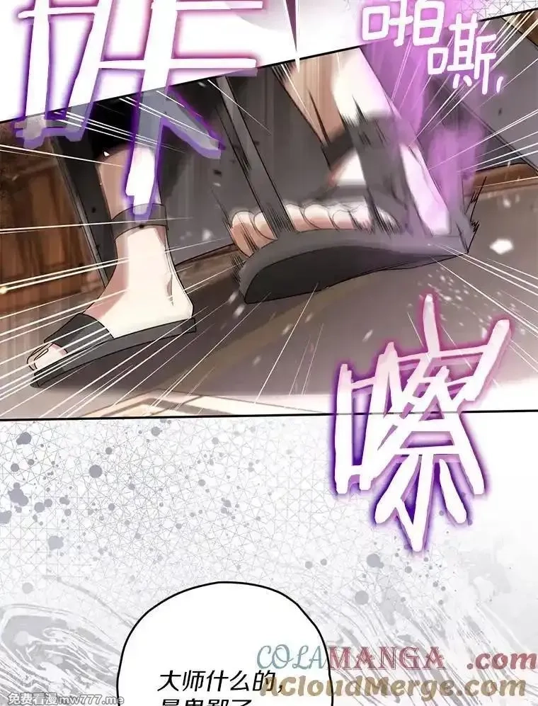 西格莉德,98.魔法师的地位,第69张