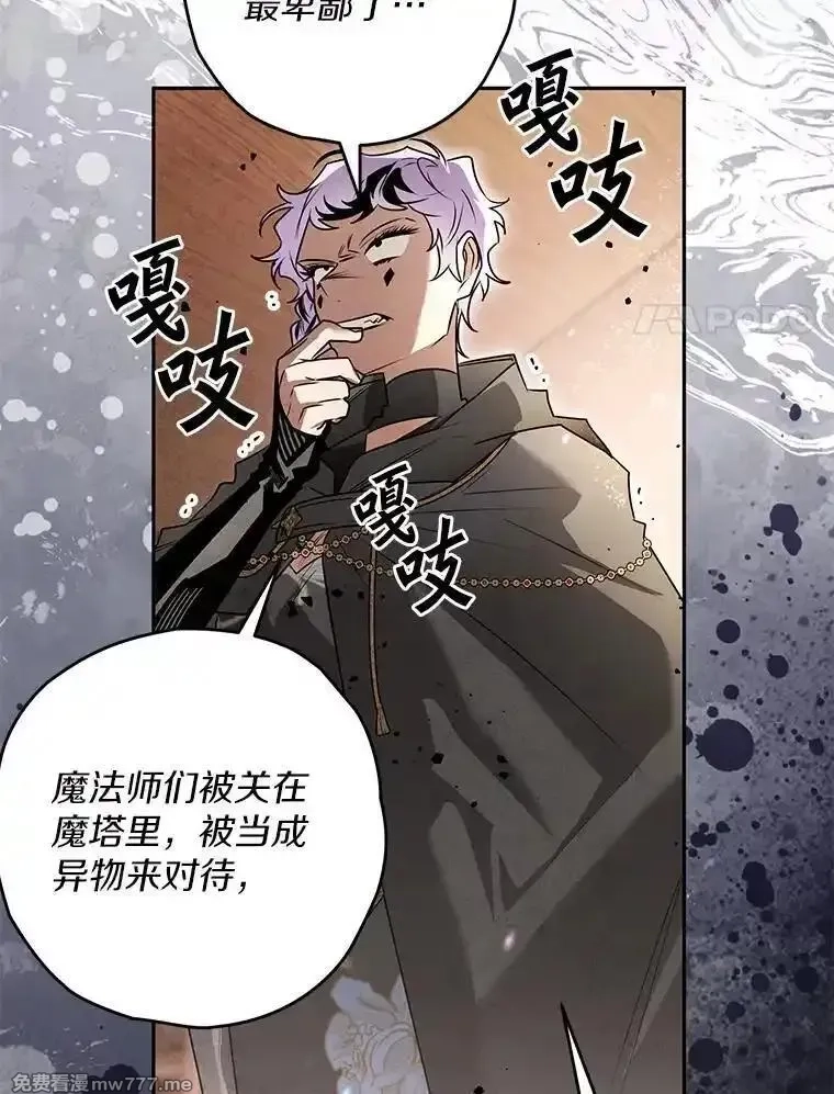 西格莉德,98.魔法师的地位,第70张