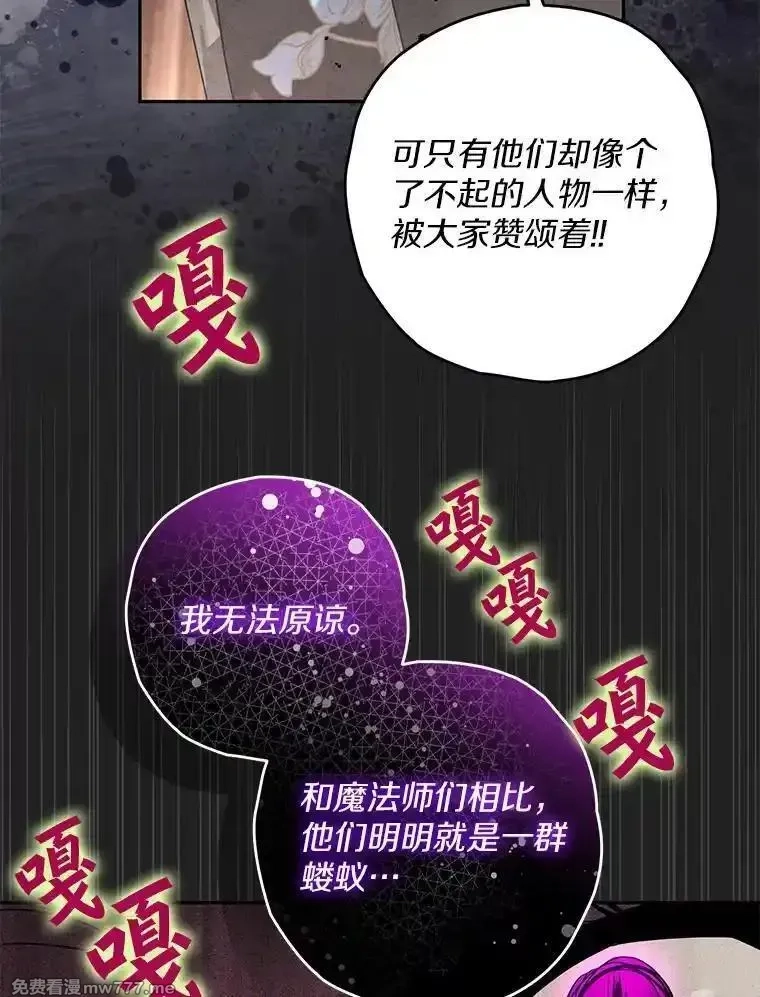 西格莉德,98.魔法师的地位,第71张