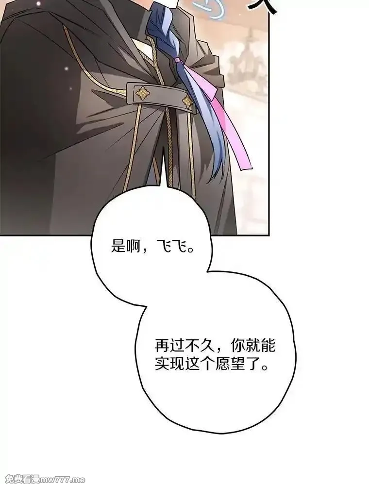 西格莉德,98.魔法师的地位,第74张