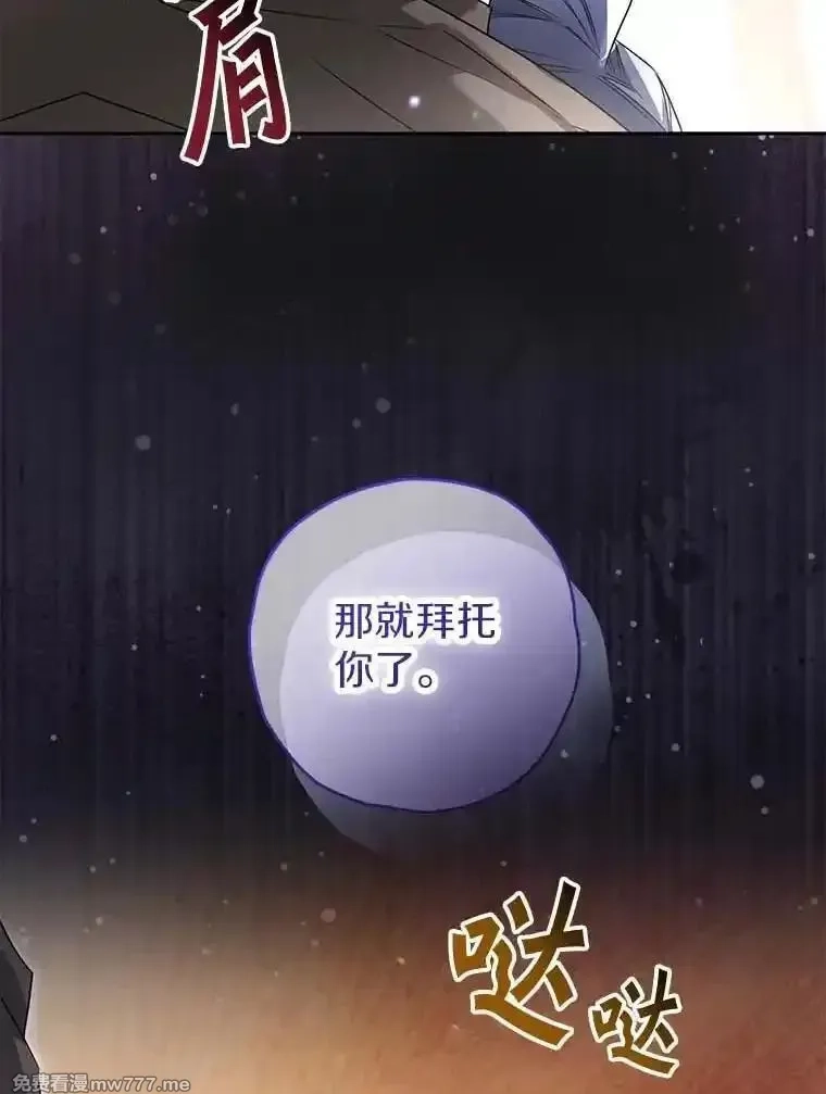 西格莉德,98.魔法师的地位,第79张