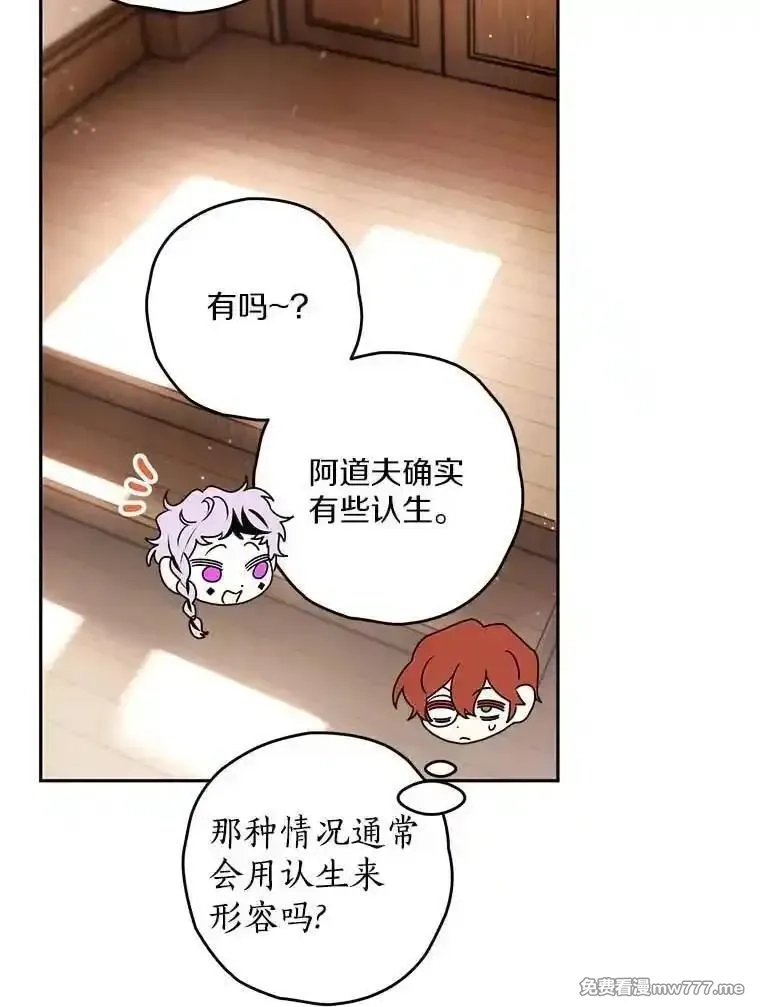 西格莉德,98.魔法师的地位,第82张