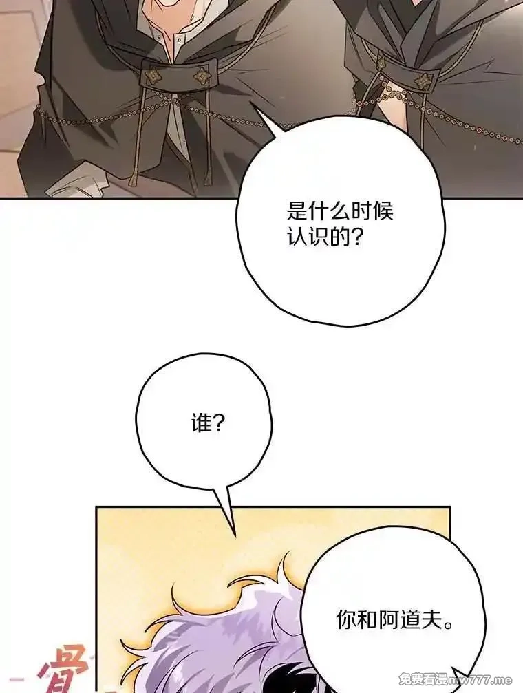 西格莉德,98.魔法师的地位,第84张