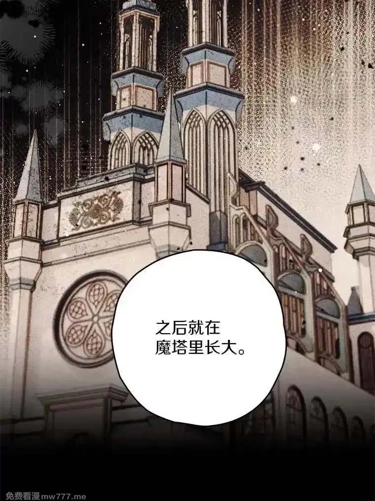 西格莉德,98.魔法师的地位,第91张