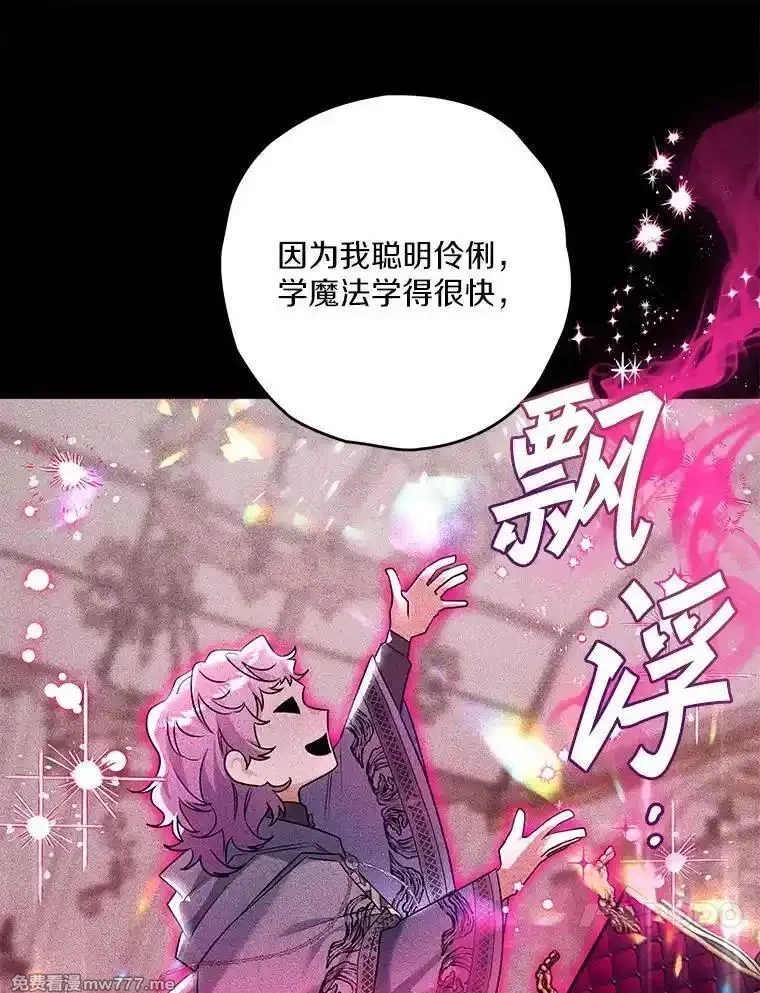 西格莉德,98.魔法师的地位,第92张