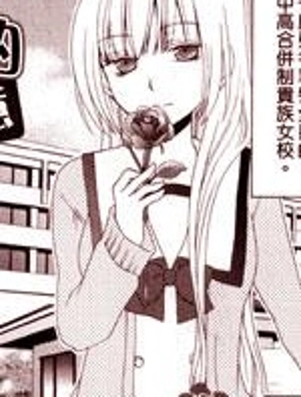 姐姐大人的心意