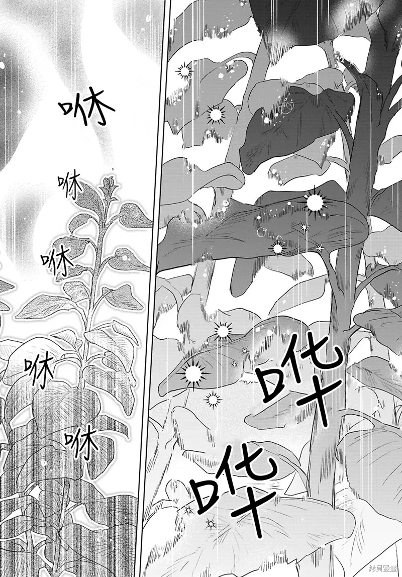 無用聖女與無能王女～被召喚至異世界的零魔力聖女救國紀～,第06話,第11张