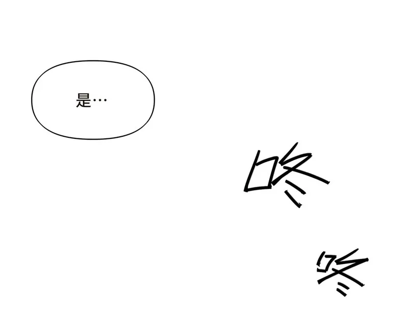 她们的幻影,13,第12张