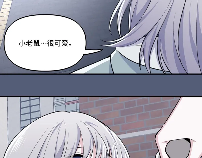 她们的幻影,5,第43张