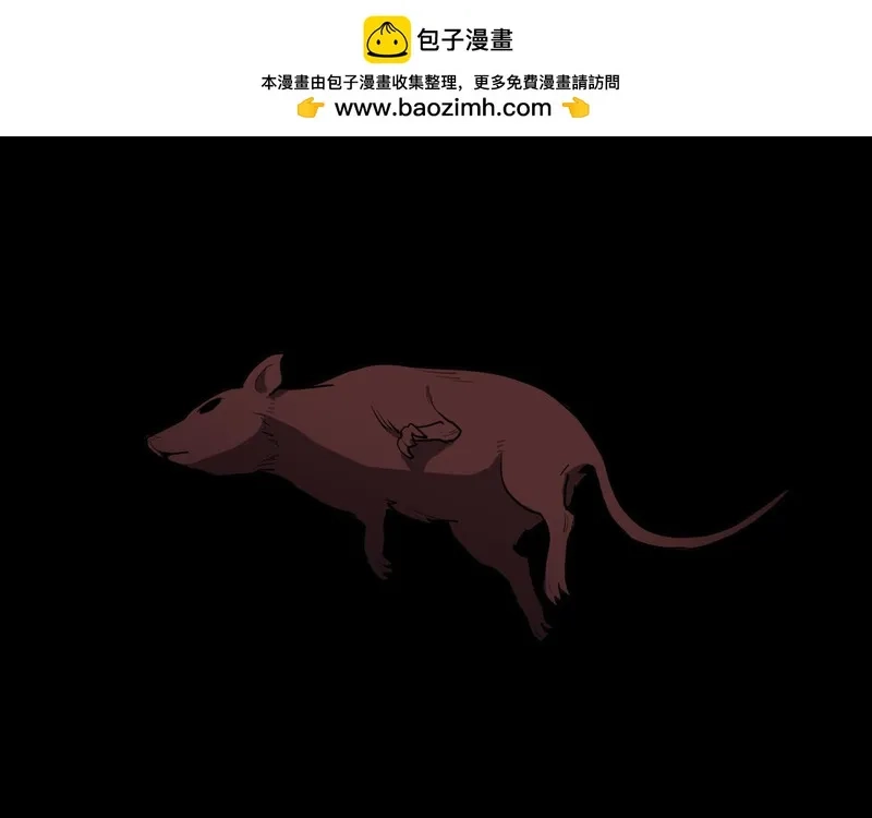 她们的幻影,5,第57张