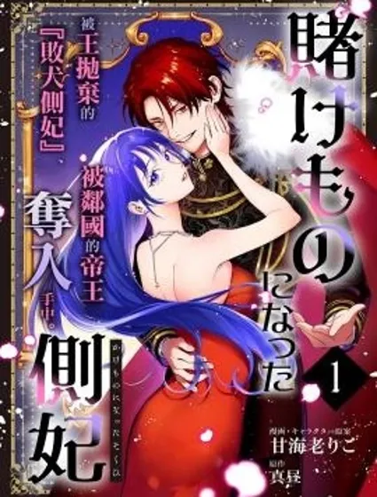 淪為籌碼的側妃漫画封面