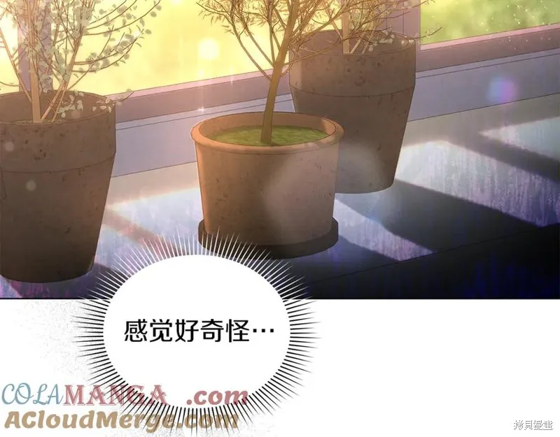 金色黎明照耀著你,第51话,第41张