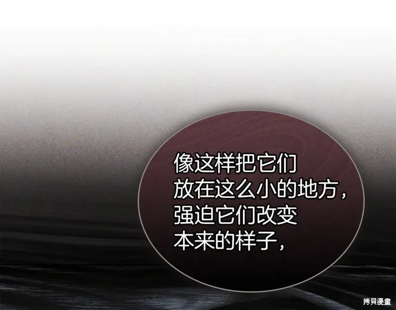 金色黎明照耀著你,第51话,第78张