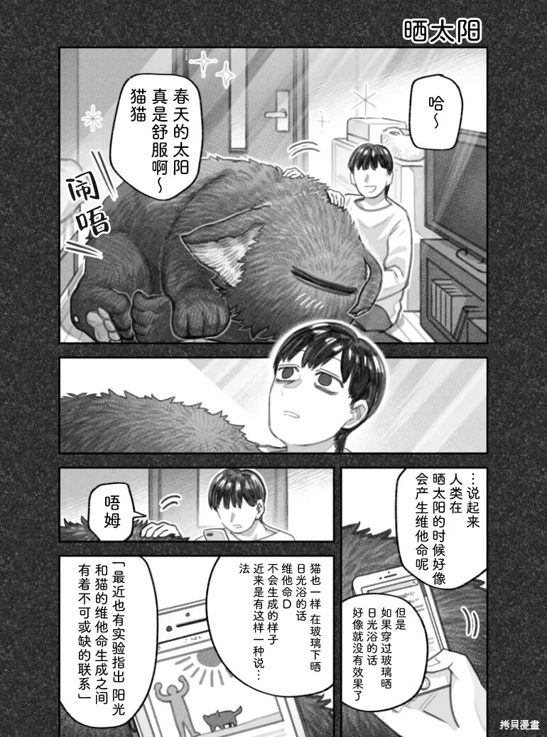 我捡了一只猫,02部53话,第1张