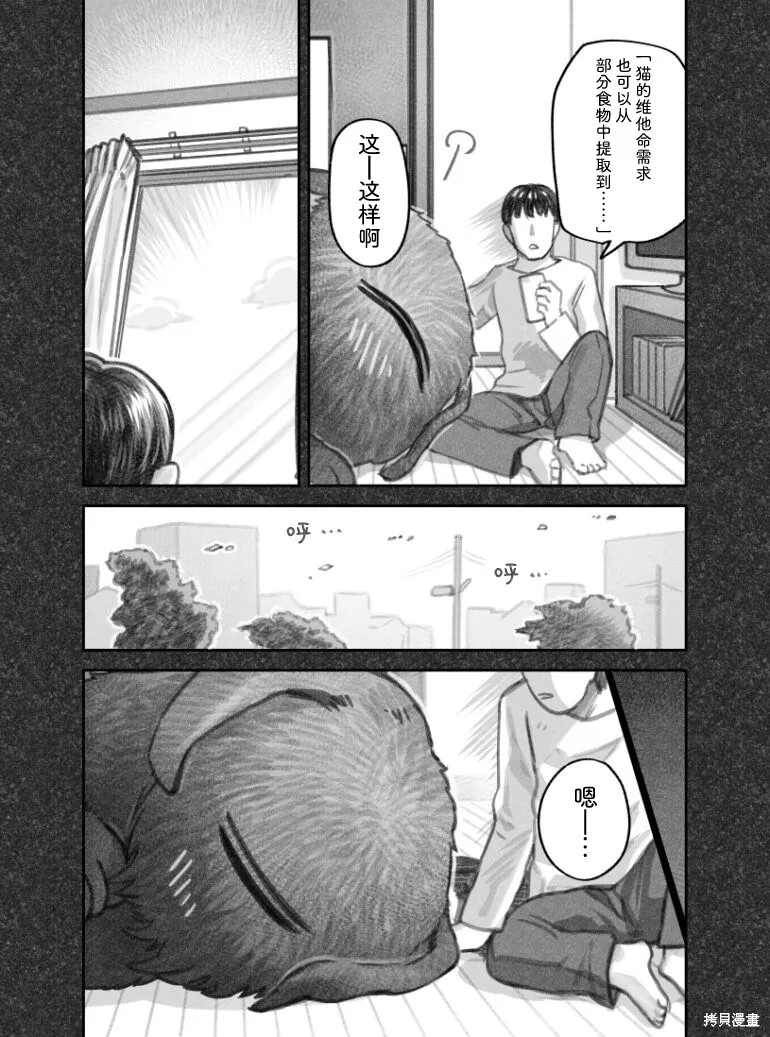 我捡了一只猫,02部53话,第2张