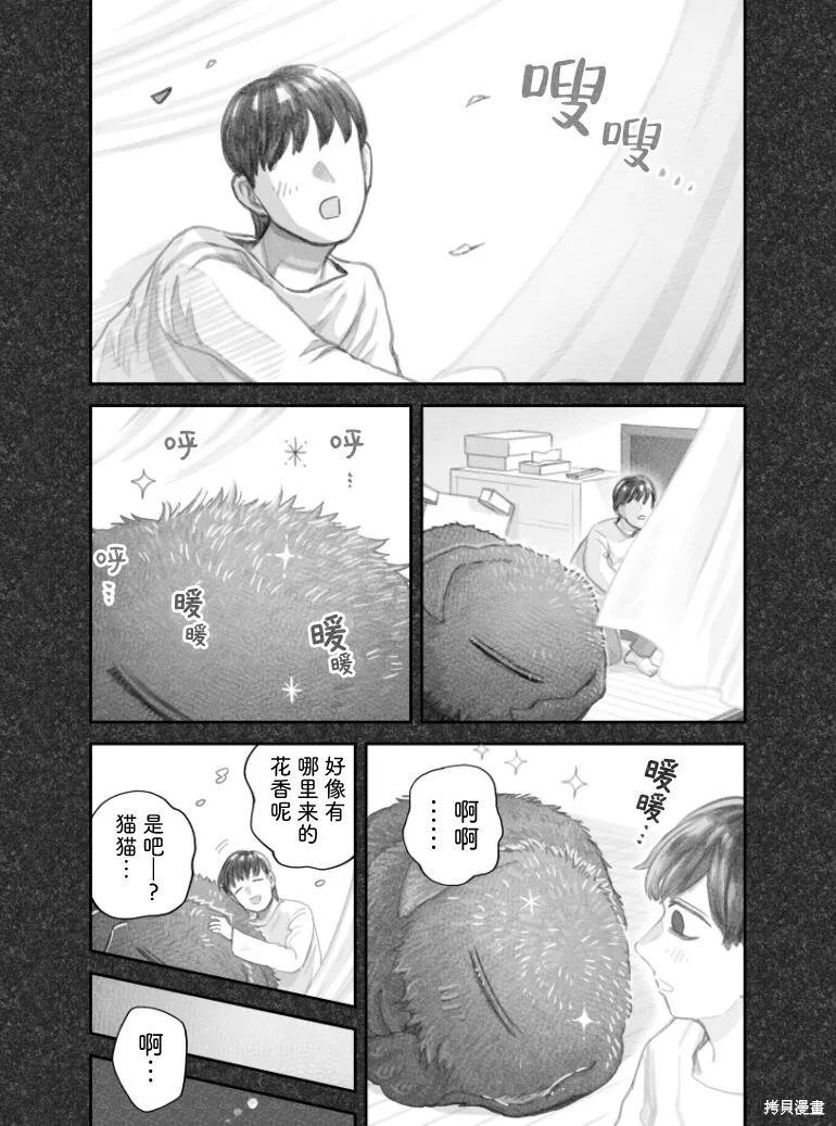 我捡了一只猫,02部53话,第4张