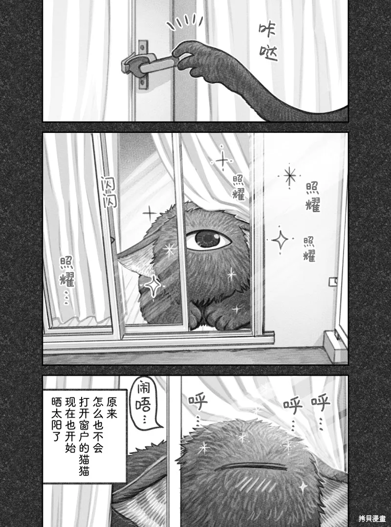 我捡了一只猫,02部54话,第5张