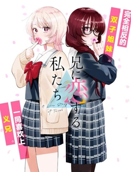 愛上哥哥的我們漫画封面