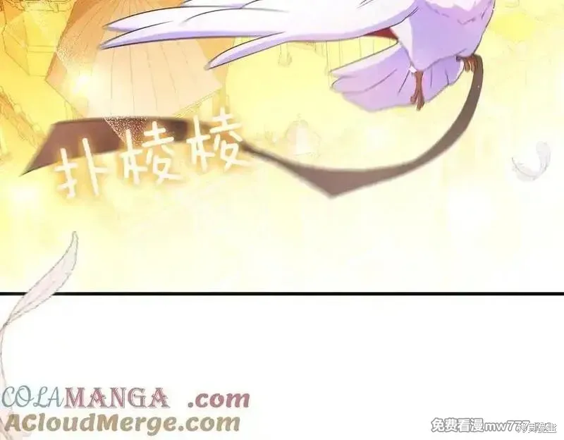 專屬蘇丹的寶貝貓咪,第64话,第161张