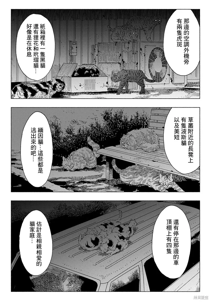 活死喵之夜,第04话,第14张