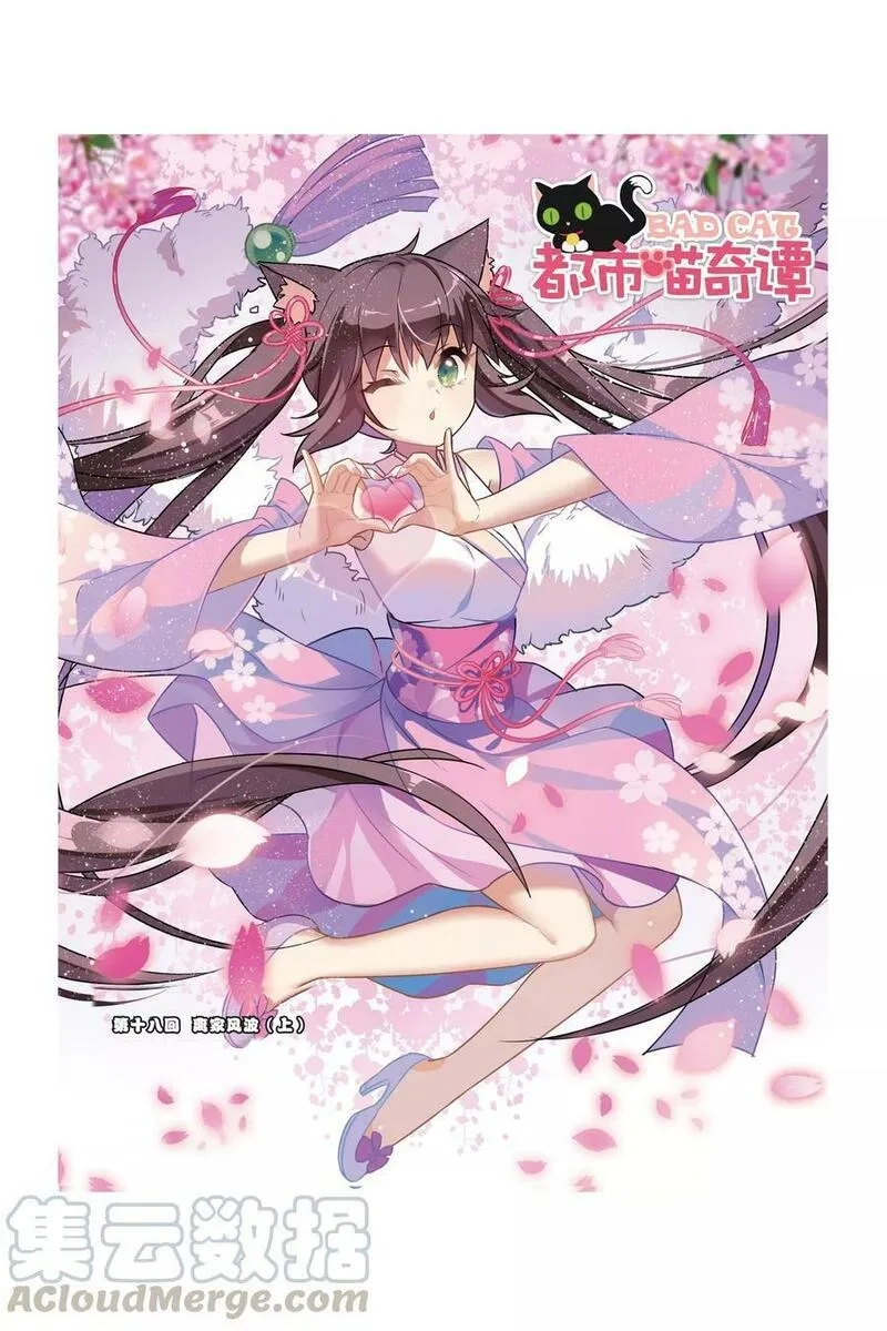都市喵奇谭,第17话 生日快乐（下）,第23张