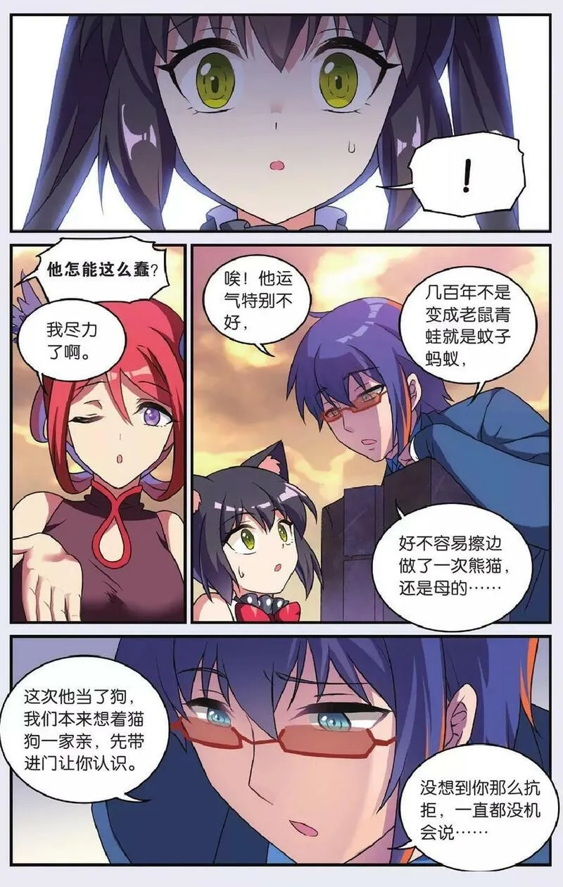 都市喵奇谭,第36话 大结局,第16张