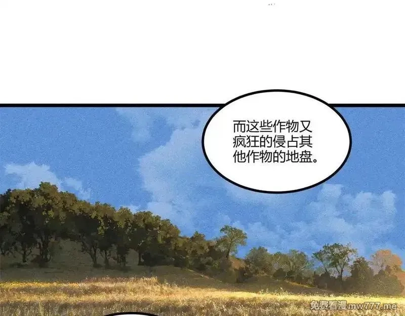 吕布的人生模拟器,125 神之种,第100张