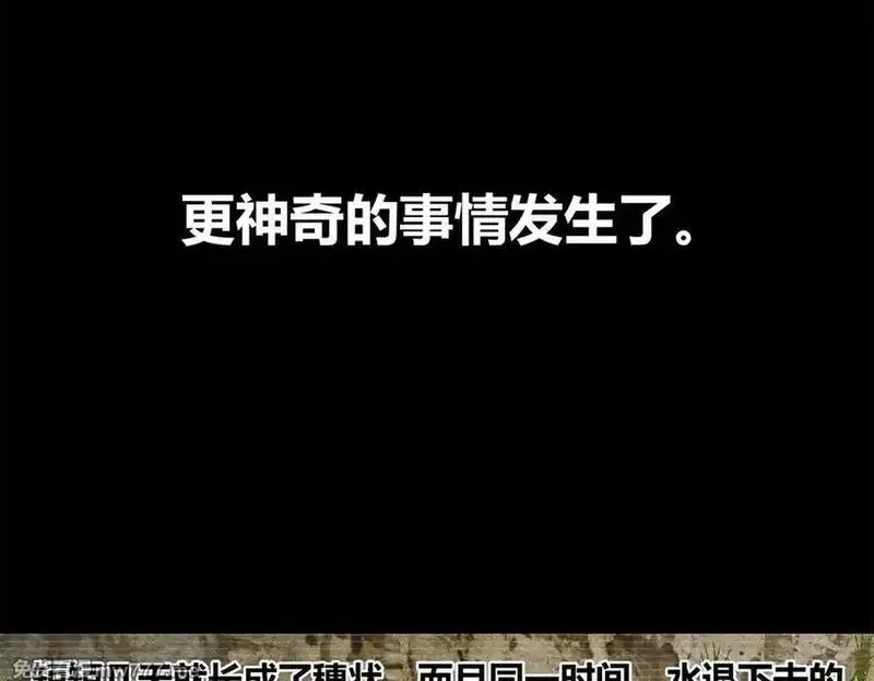 吕布的人生模拟器,125 神之种,第80张