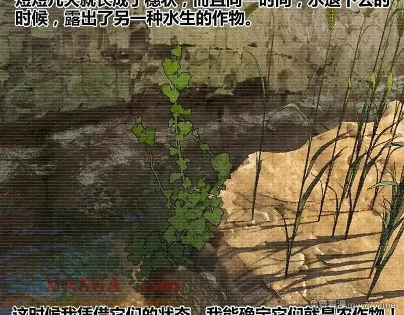 吕布的人生模拟器,125 神之种,第81张