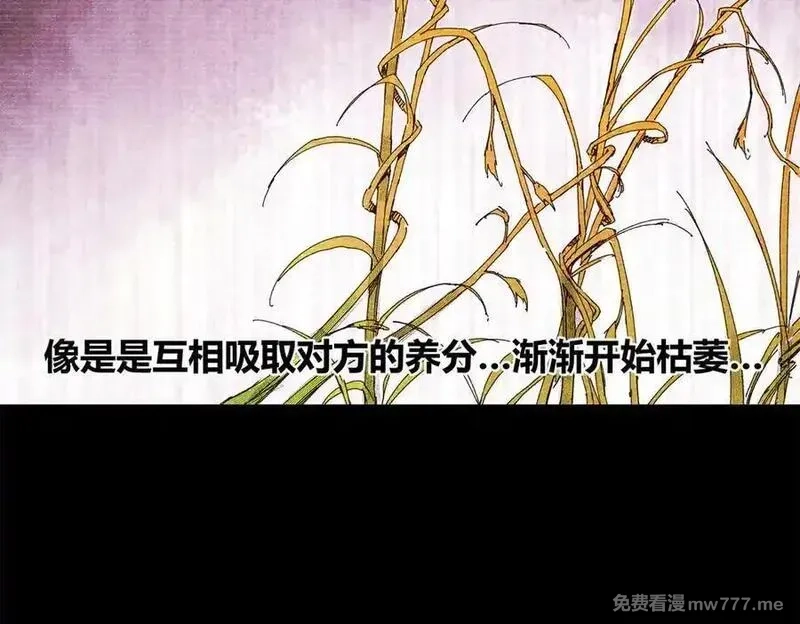 吕布的人生模拟器,125 神之种,第84张