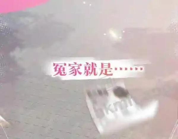 我才不会喜欢你,序章 我才不会喜欢你,第2张