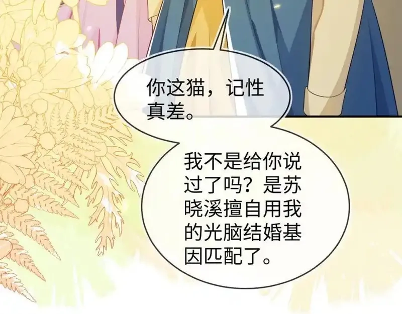 刚退婚，就被奶凶狐狸拐进民政局,他的目的是什么？,第24张