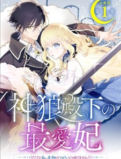 神狼殿下的最愛妃漫画封面
