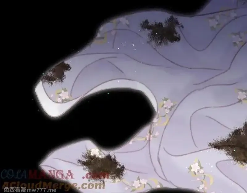 韶华珑：重生之恶妃逆袭,021 关于裴嘉上的流言,第93张