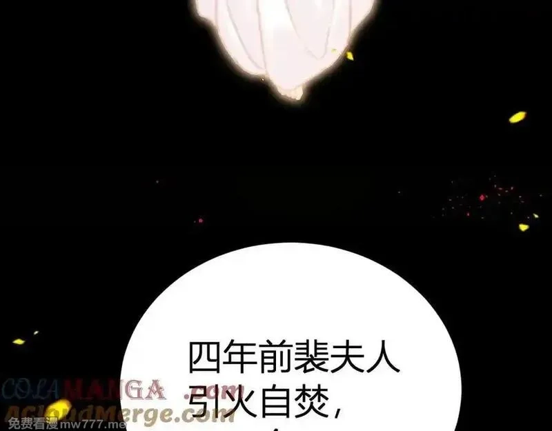 韶华珑：重生之恶妃逆袭,021 关于裴嘉上的流言,第97张